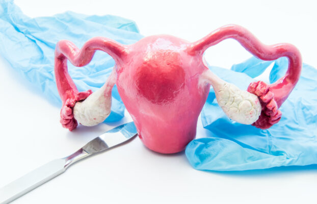 الحمل بعد استئصال الرحم: هل هو ممكن؟ تعرفي على الإجابة