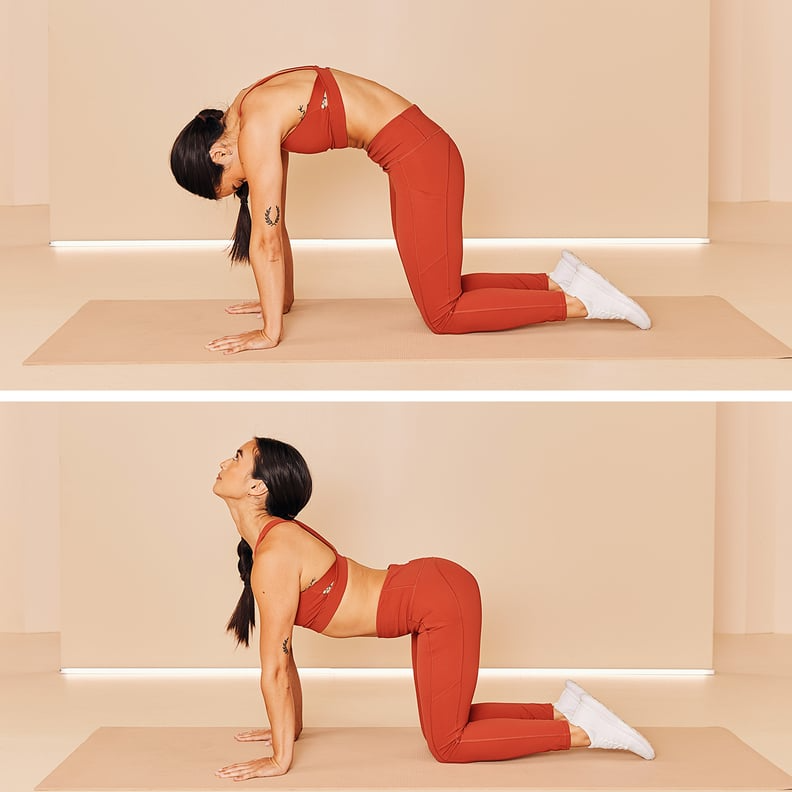 physiotherapy exercises for lower back pain