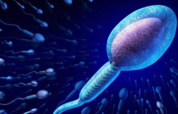 انسداد القنوات المنوية: أعراض انسداد القناة الناقلة للنطاف, تشخيصها, و علاجها.