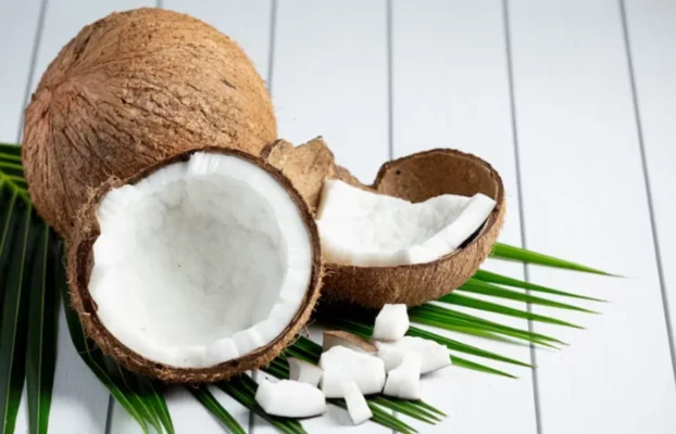 فوائد جوز الهند في إنقاص الوزن: 7 أسباب لتبدأ باستخدامه اليوم