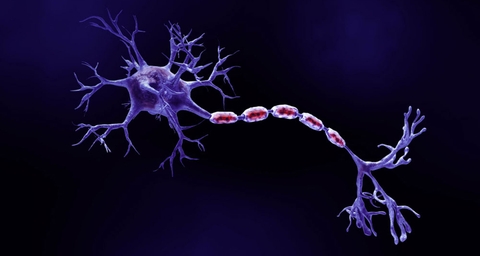 اعراض التصلب اللويحي