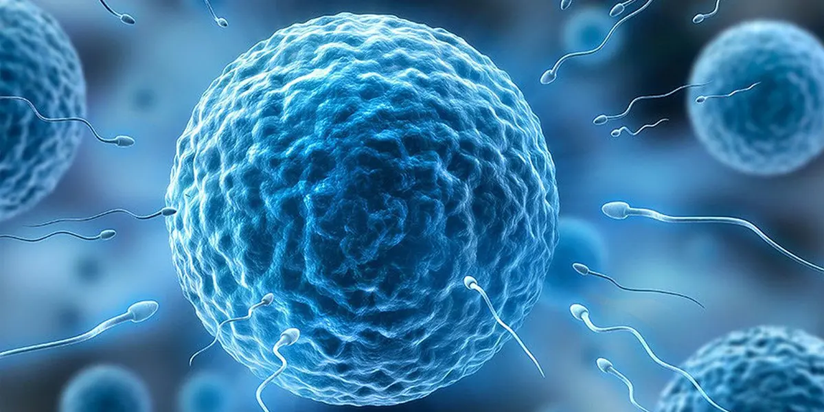 علاج العقم الذكوري وانعدام الحيوانات المنوية: الأسباب والتشخيص وطرق العلاج الحديثة في 2025