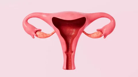 تجميل المهبل باستخدام حقن الدهون الذاتية