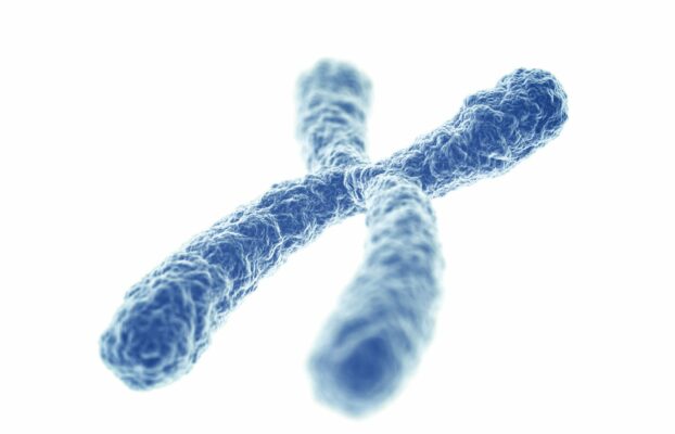 خلل الكروموسومات عند الرجال: الأسباب والأعراض وطرق العلاج الحديثة