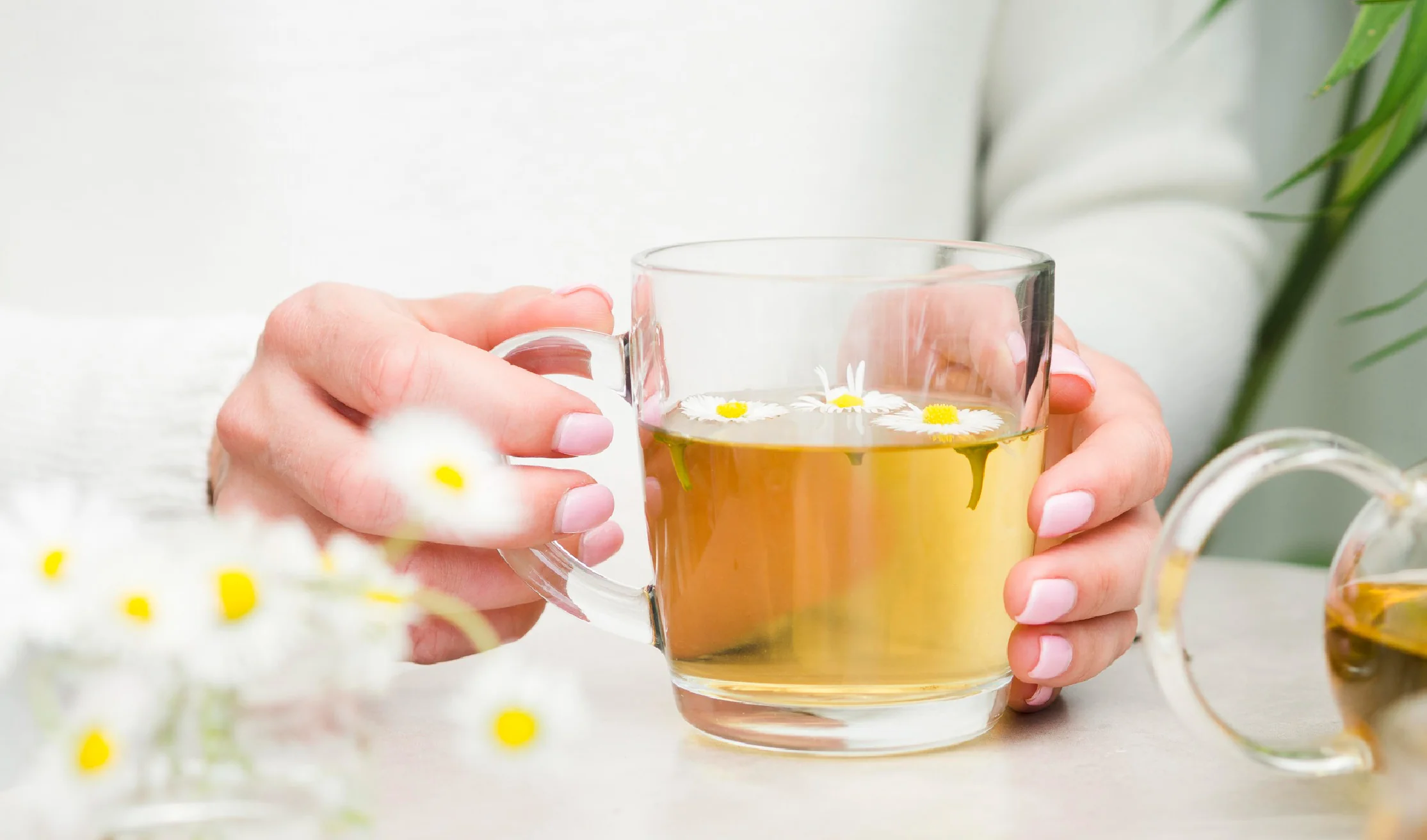 7 اعشاب تساعد على تخفيف الم الدورة الشهرية