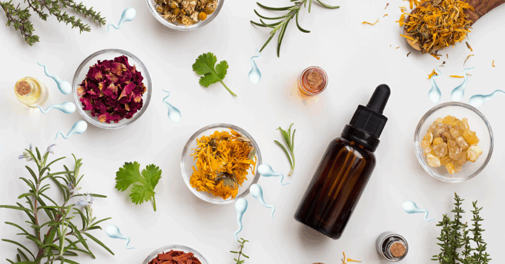 علاج سرعة القذف بالأعشاب: