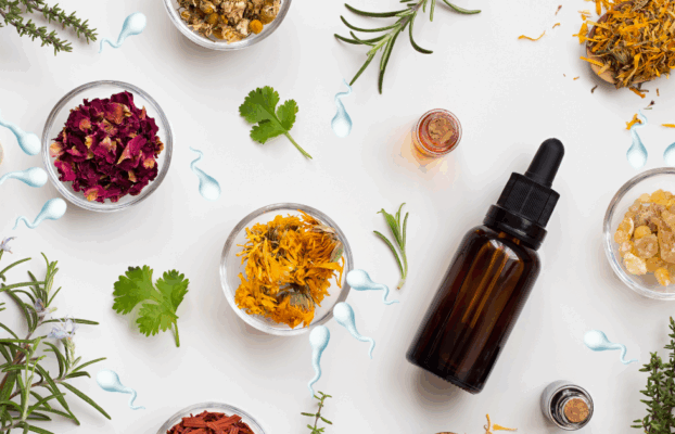 علاج سرعة القذف بالأعشاب: حلول طبيعية مجرّبة لتحسين الأداء بدون أدوية