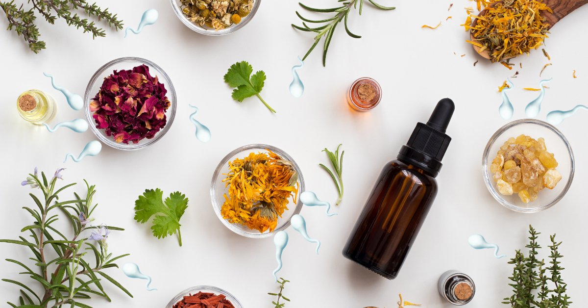 علاج سرعة القذف بالأعشاب: حلول طبيعية مجرّبة لتحسين الأداء بدون أدوية 