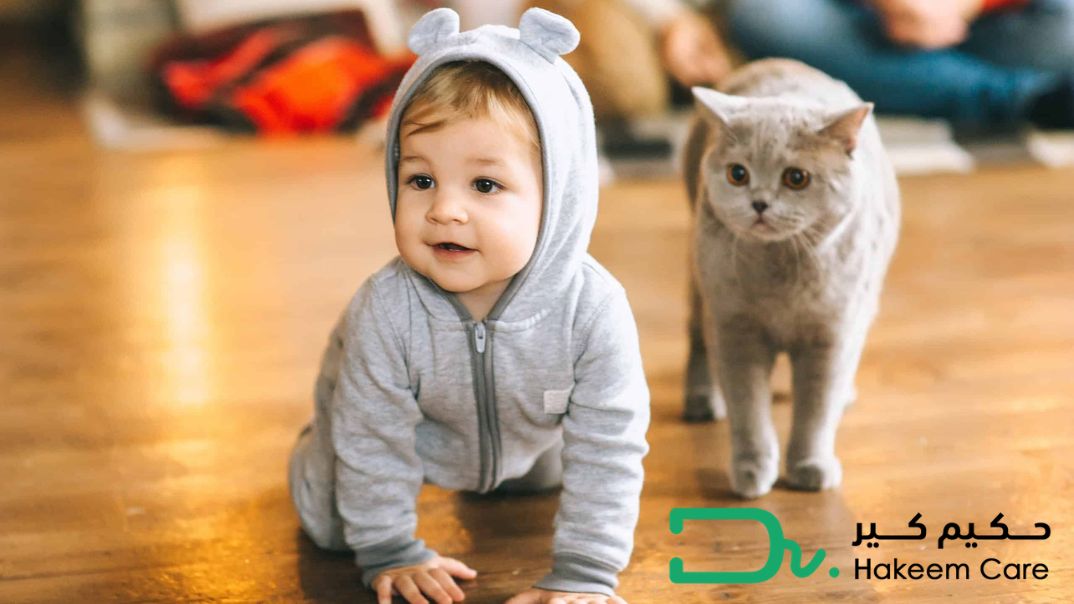 أمراض تصيب الأطفال من القطط