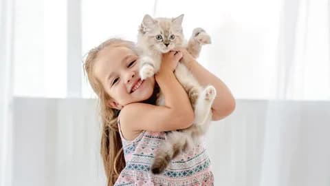 أمراض تصيب الأطفال من القطط